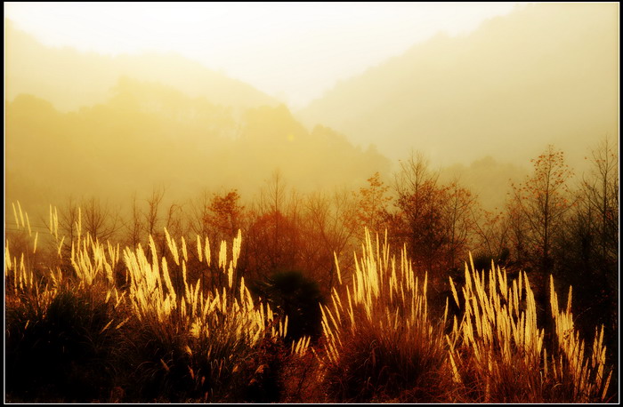 ��ɽʯ��ɽ 134_������С.jpg