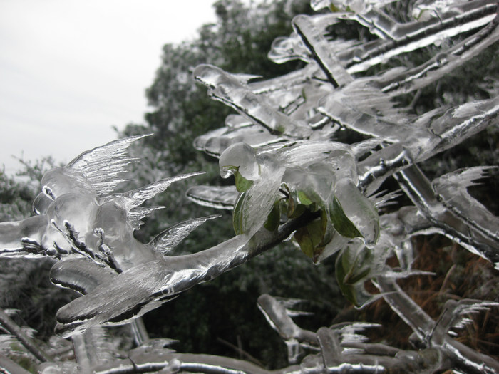 ����һֻֻ�ڷɵ�С��