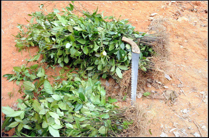 ��ɽʯ��ɽ 373_������С.jpg