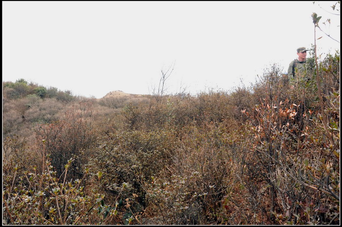 ��ɽʯ��ɽ 242_������С.jpg