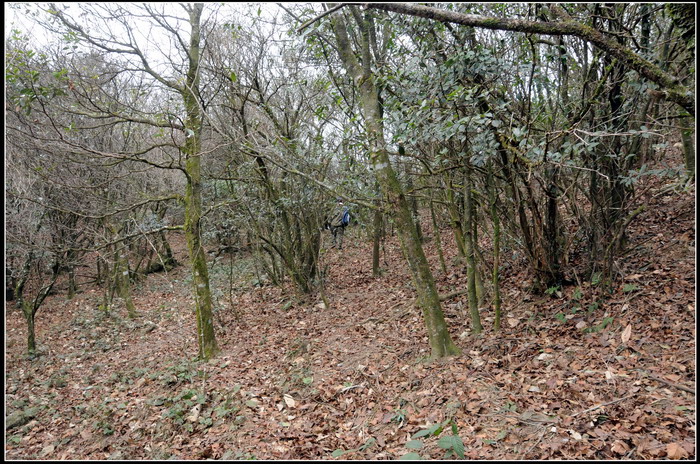 ��ɽʯ��ɽ 237_������С.jpg