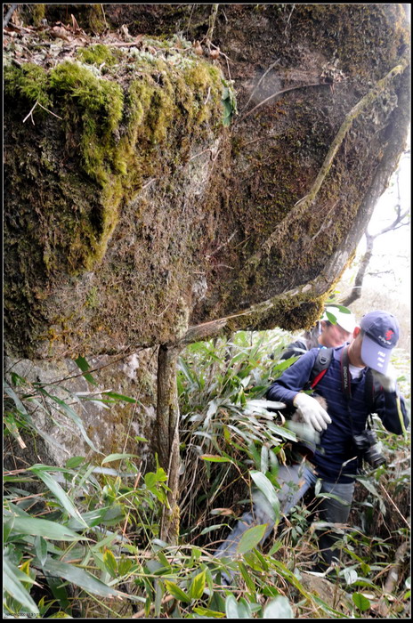 ��ɽʯ��ɽ 276_������С.jpg