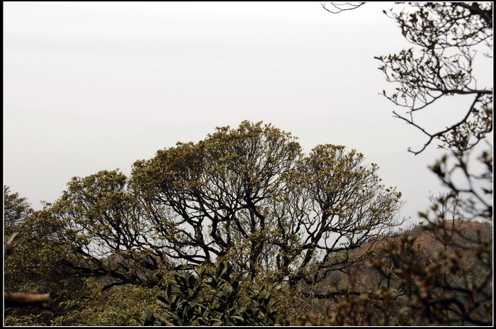 ��ɽʯ��ɽ 261_������С.jpg