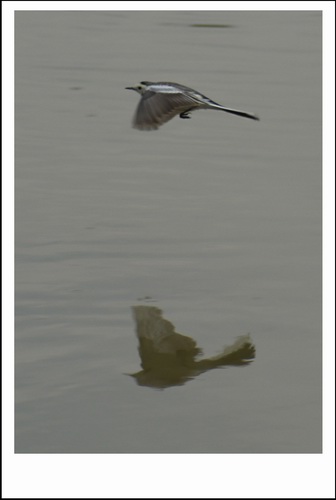 ������С _DSC2424.JPG