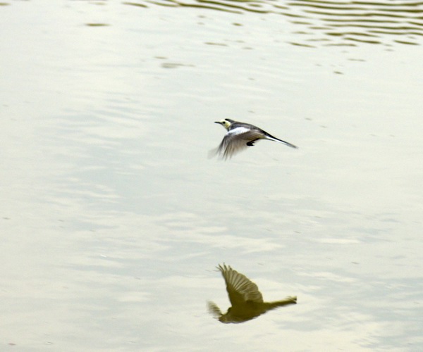 ������С _DSC2425.JPG