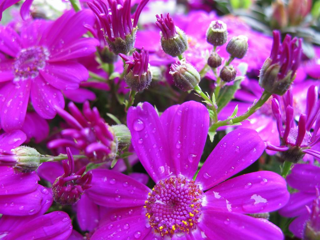 ������С IMG_6842.JPG