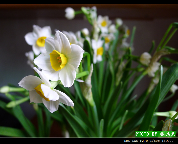 ˮ�ɻ�����һ