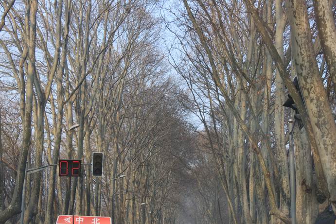 ������Ͼ�