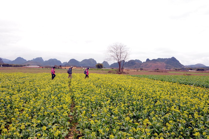 ��Ƭ 102_������С.jpg