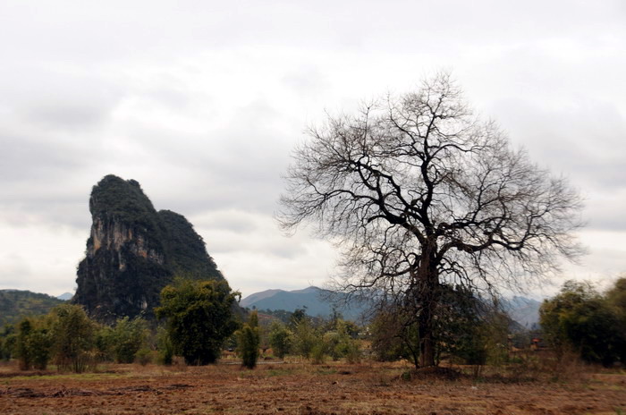 ��Ƭ 142_������С.jpg