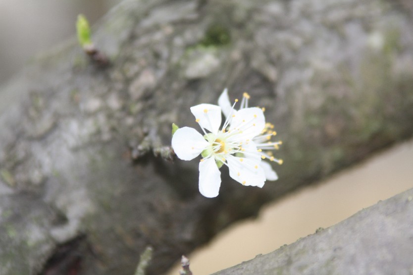 Ӣ��Ԫ�� (5).JPG