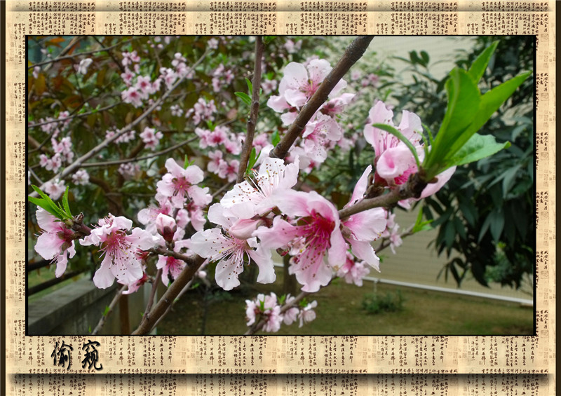 ͵�� 6_����.jpg